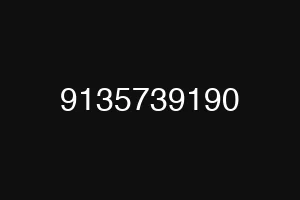 9135739190