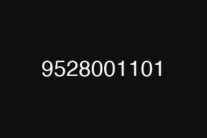 9528001101