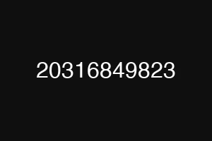 20316849823
