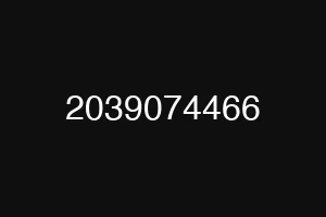 2039074466