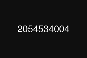 2054534004