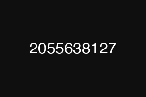 2055638127