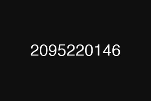 2095220146