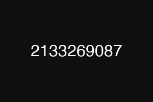 2133269087