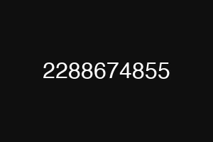 2288674855