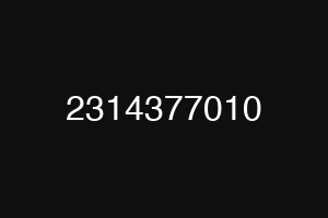 2314377010