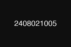 2408021005