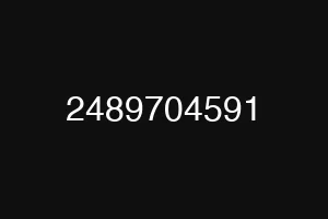 2489704591