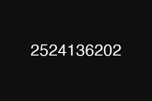 2524136202