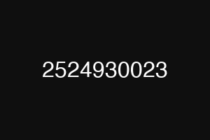 2524930023