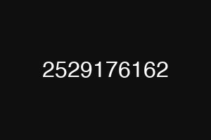 2529176162